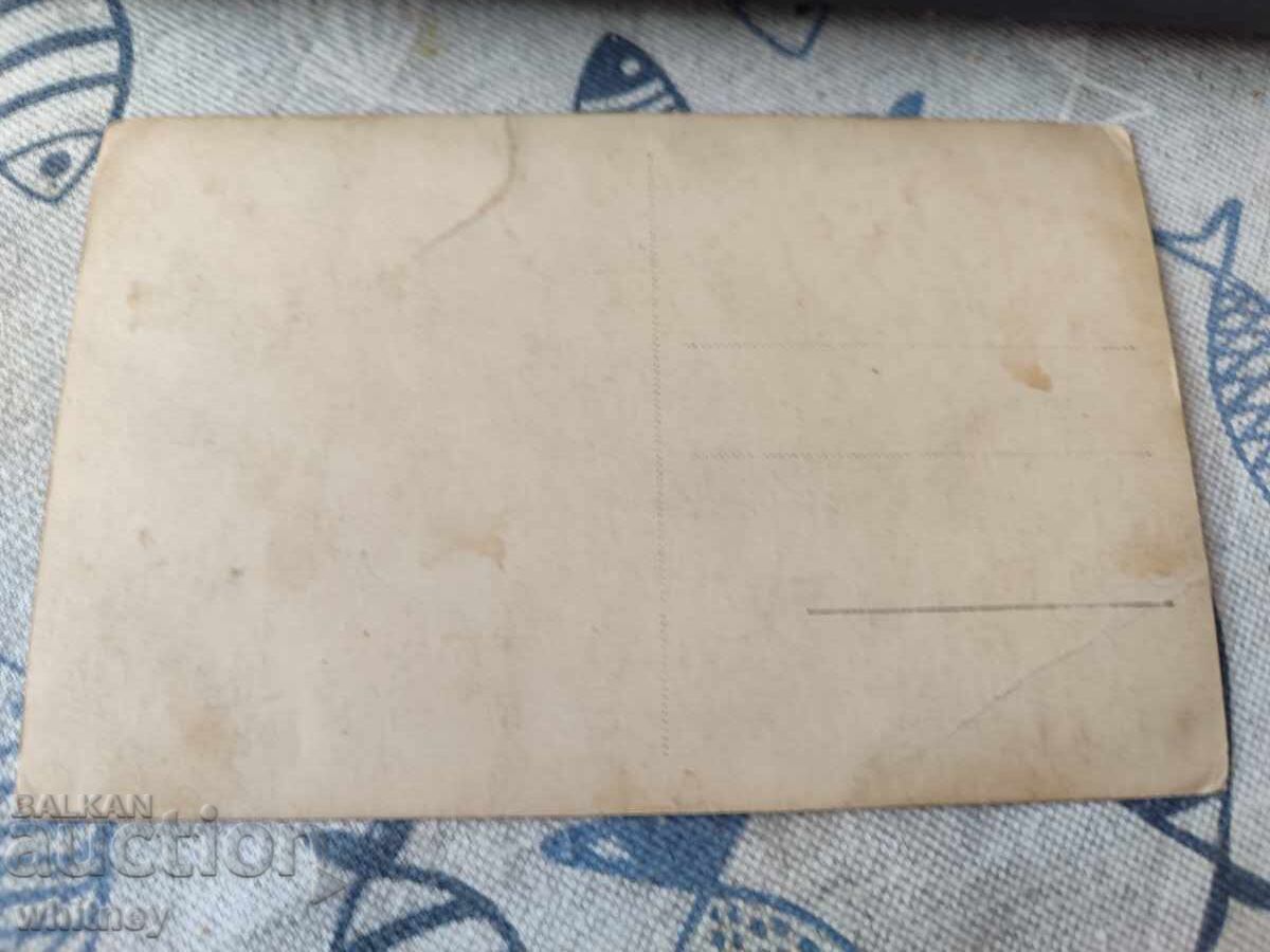 Τσουκνίδα με τιμή 6.99 BGN | € 3.57 Τσουκνίδα με τιμή 6.99 BGN | € 3.57