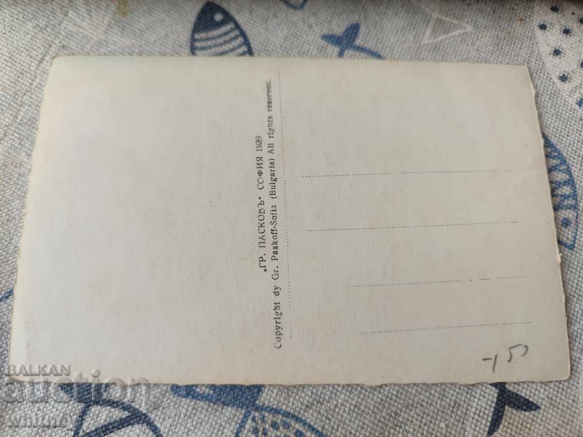 Măceș cu preț 5.99 BGN | € 3.06 Măceș cu preț 5.99 BGN | € 3.06