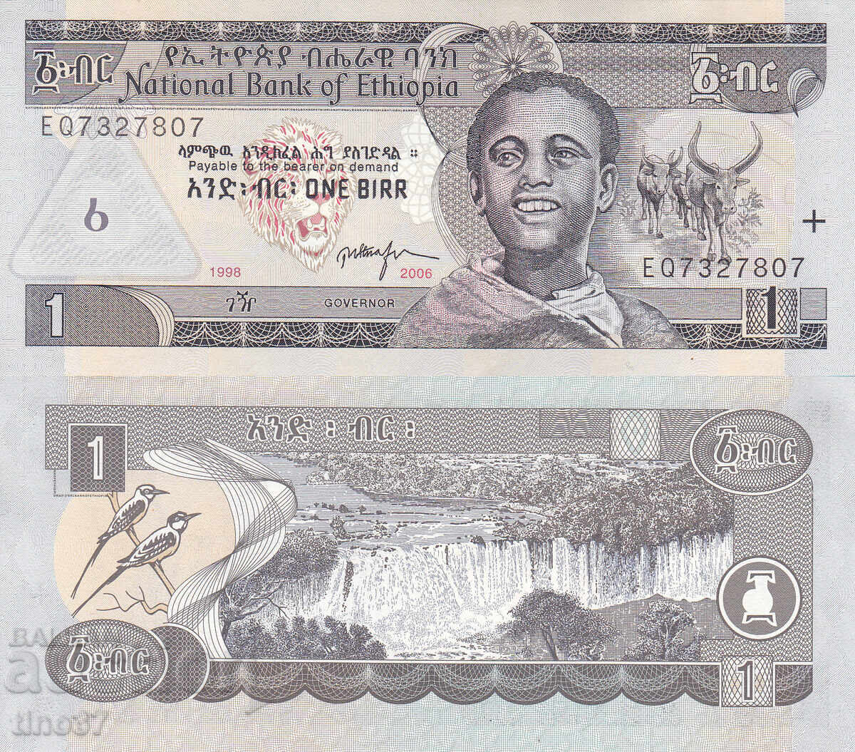 tino37- ΑΙΘΙΟΠΙΑ - 1 BIRR - 2006 - XF+