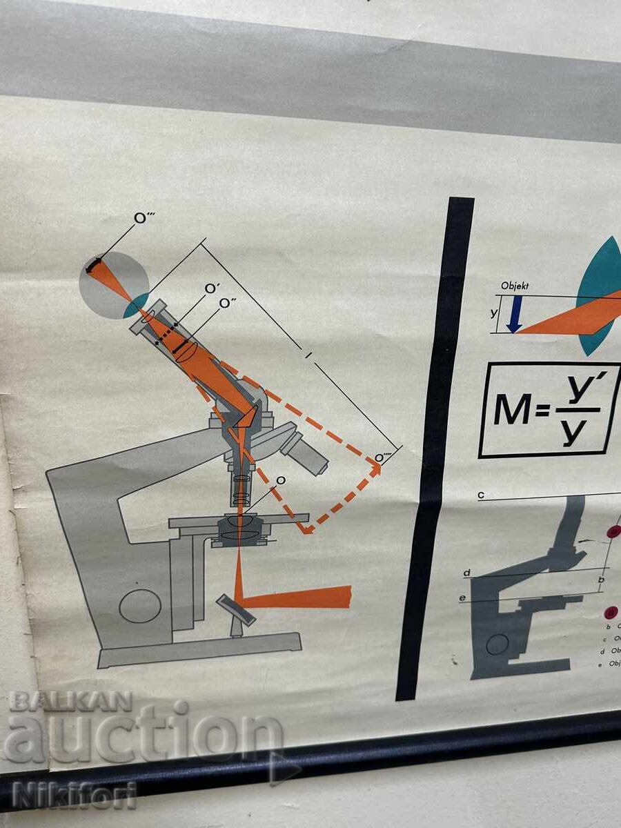 Delivery of Poster Microscope Carl Zeiss Delivery of Poster Microscope Carl Zeiss