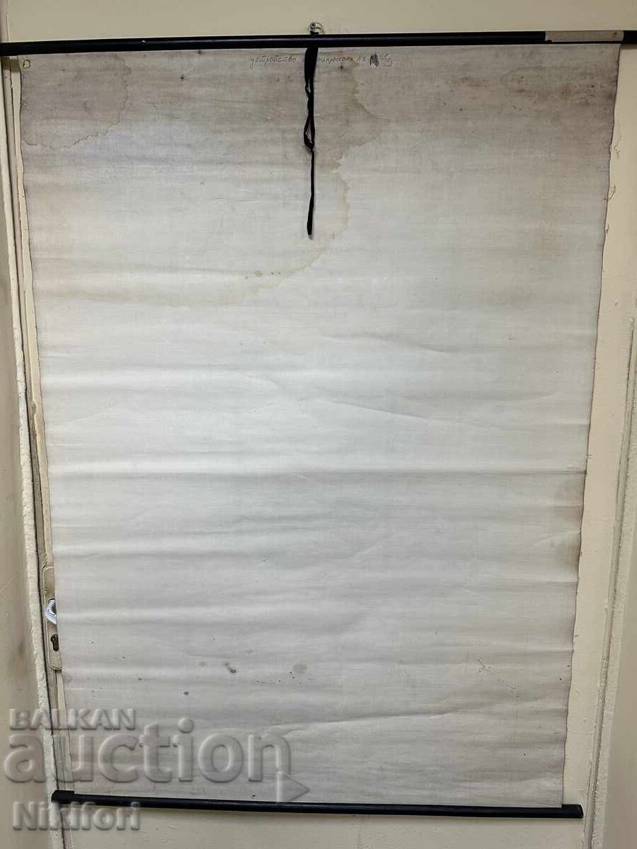 Poster Microscope Carl Zeiss - 7 Poster Microscope Carl Zeiss - 7