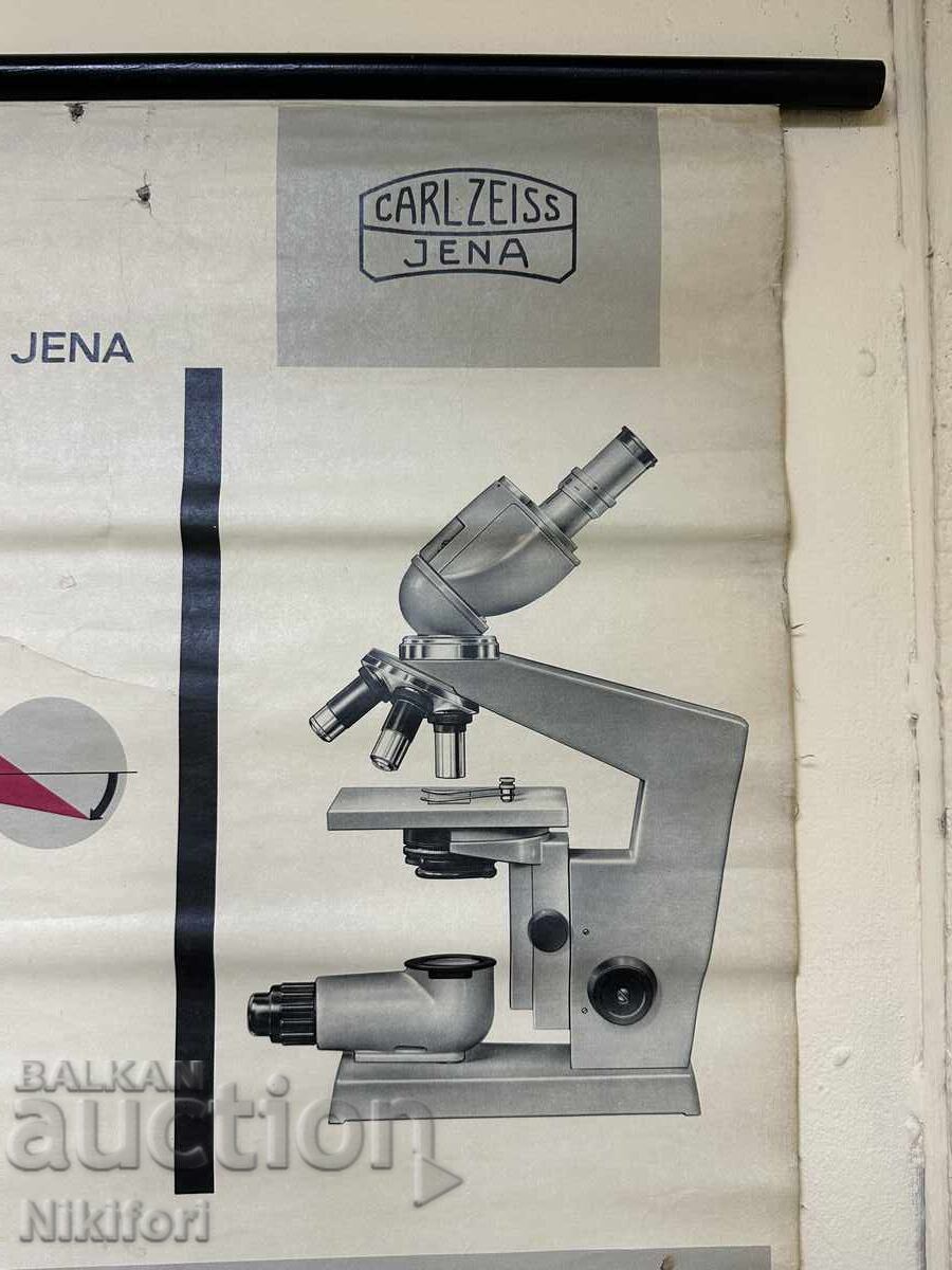 Poster Microscope Carl Zeiss Poster Microscope Carl Zeiss