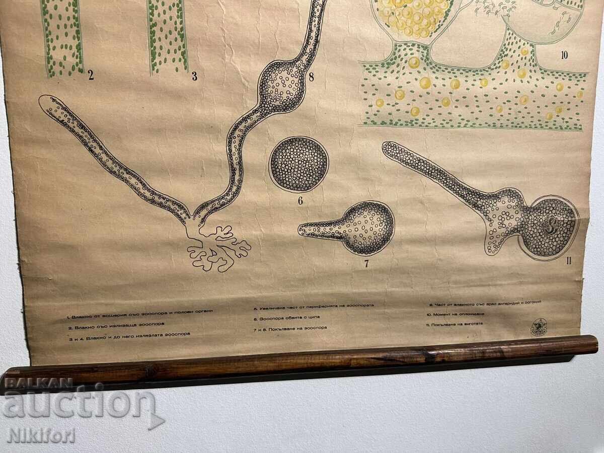 Παράδοση Σοσιαλιστικό Εκπαιδευτικό Πόστερ Πίνακας Πλυντηρίου