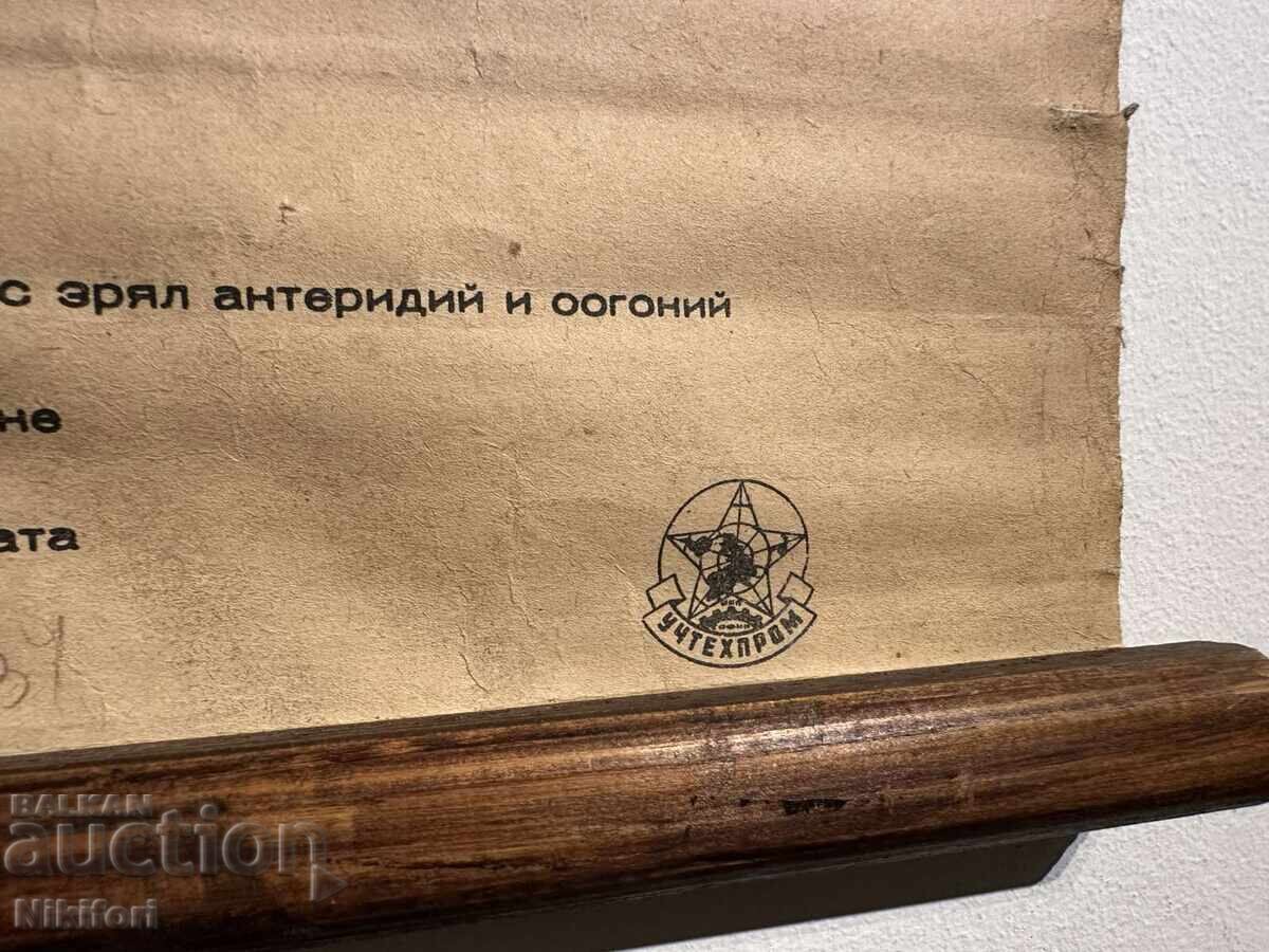 Σοσιαλιστικό Εκπαιδευτικό Πόστερ Πίνακας Πλυντηρίου - 5