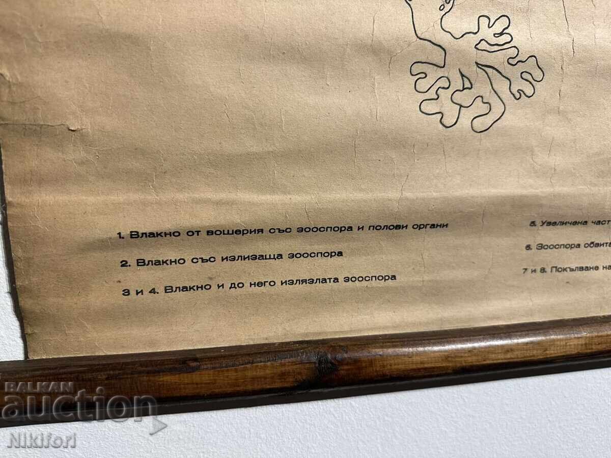 Σοσιαλιστικό Εκπαιδευτικό Πόστερ Πίνακας Πλυντηρίου - 6