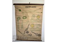 Poster didactic social spălătorie