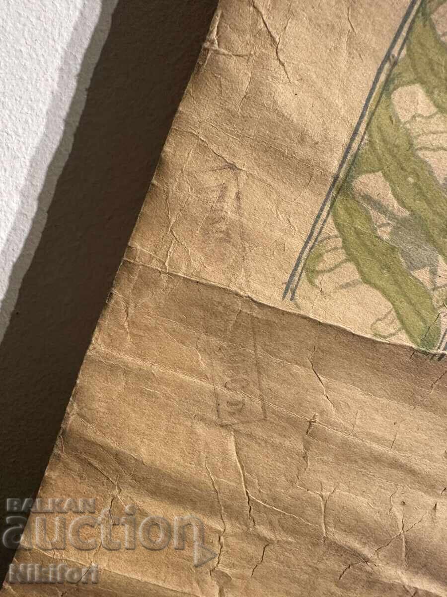 Παράδοση Σοσιαλιστικό Εκπαιδευτικό Πόστερ Πίνακας Φύκια