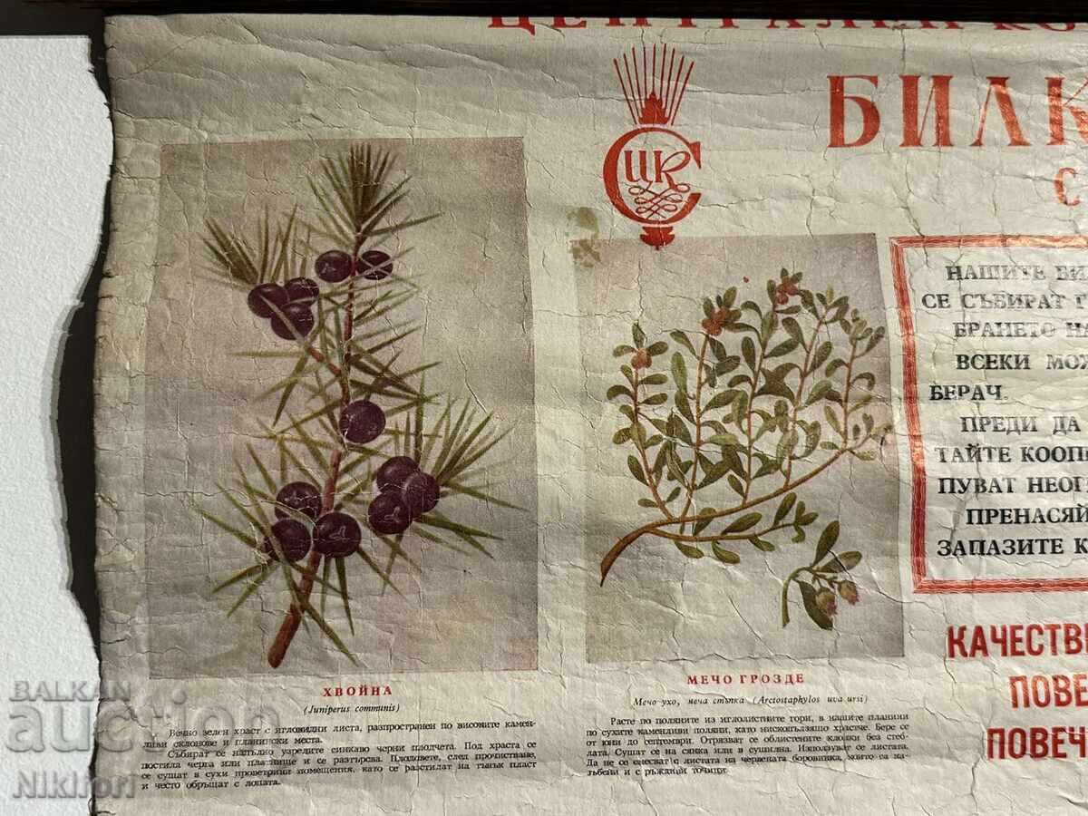 Соц Учебен Плакат Табло БИЛКООП с цена 65.00 лв. | € 33.23 Соц Учебен Плакат Табло БИЛКООП с цена 65.00 лв. | € 33.23