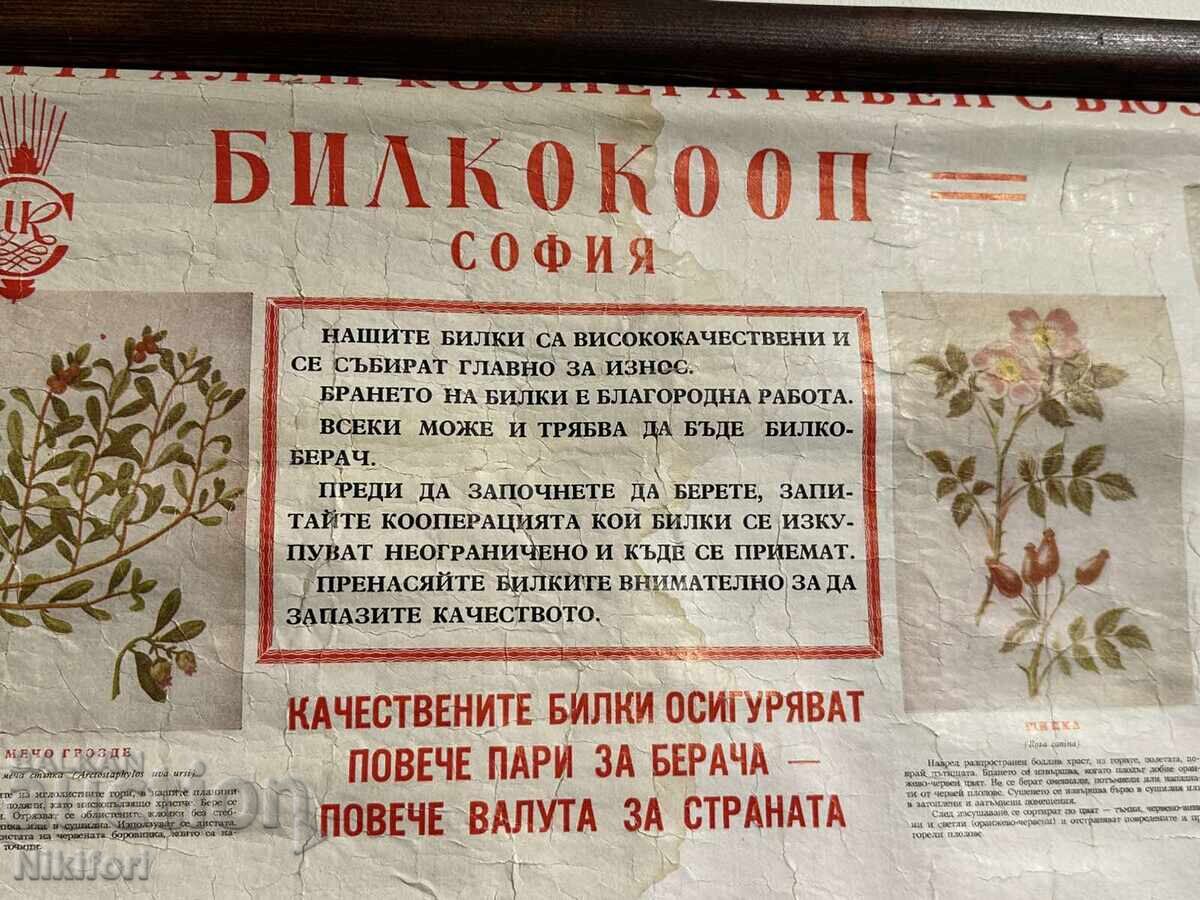 Аукцион Соц Учебен Плакат Табло БИЛКООП Аукцион Соц Учебен Плакат Табло БИЛКООП