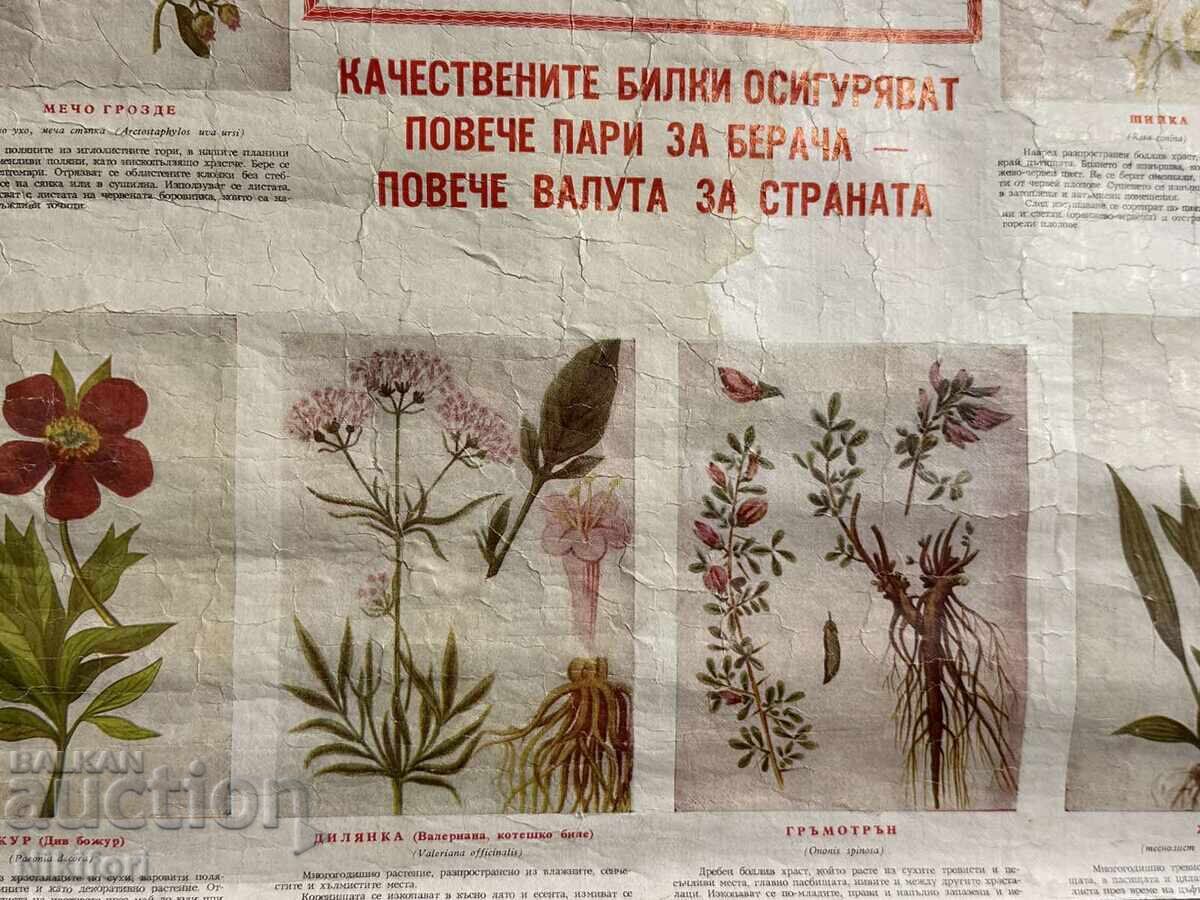 Доставка на Соц Учебен Плакат Табло БИЛКООП Доставка на Соц Учебен Плакат Табло БИЛКООП