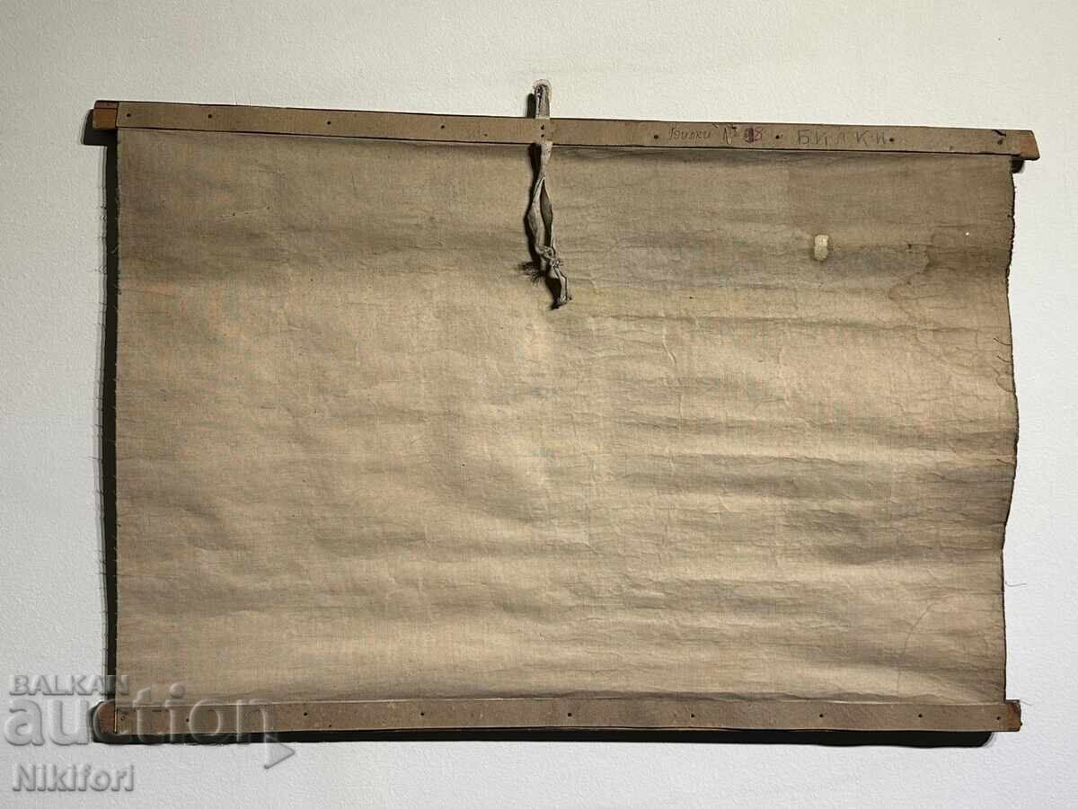 Соц Учебен Плакат Табло БИЛКООП - 5 Соц Учебен Плакат Табло БИЛКООП - 5