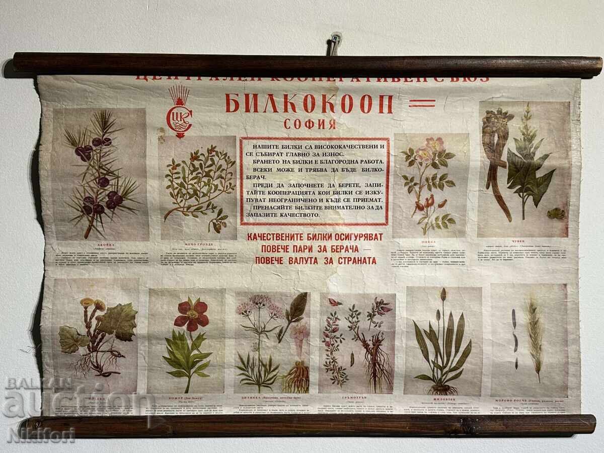 Соц Учебен Плакат Табло БИЛКООП Соц Учебен Плакат Табло БИЛКООП