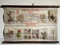 Соц Учебен Плакат Табло БИЛКООП