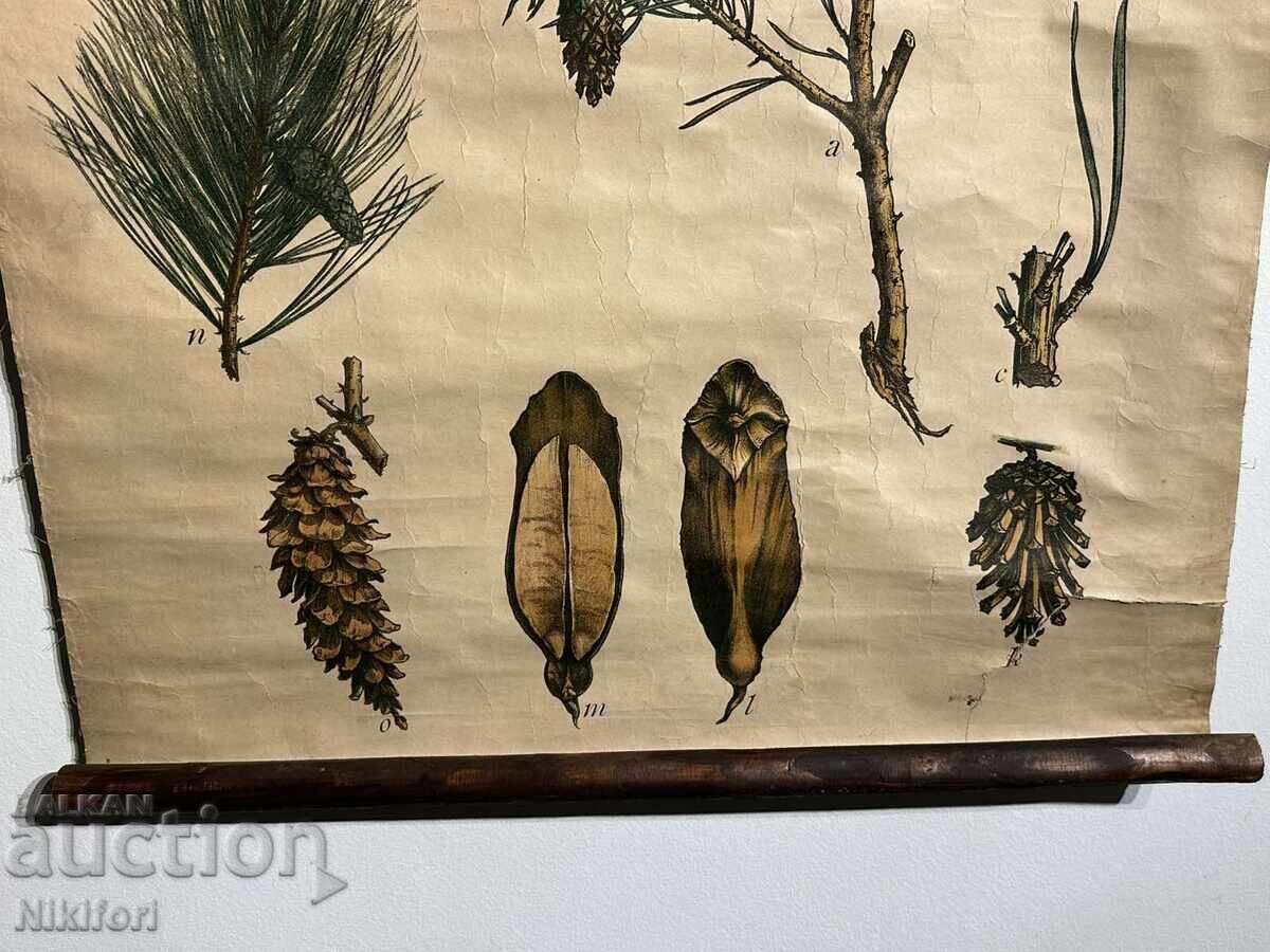 Παράδοση Σοσιαλιστικό Εκπαιδευτικό Πόστερ Πίνακας Πίνακας