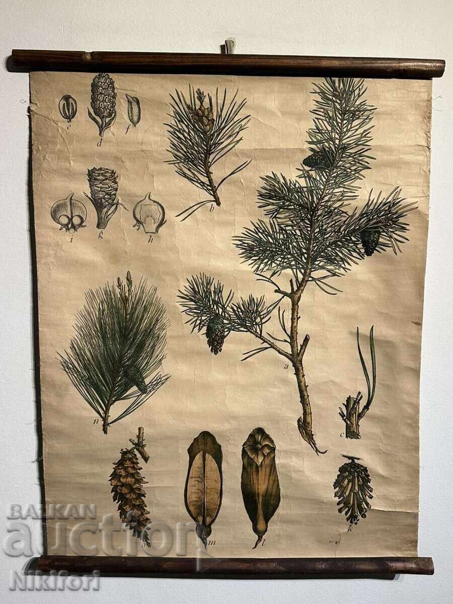 Afis Educativ Social Planșă Tablou