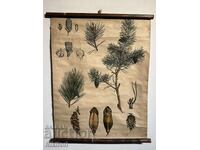 Σοσιαλιστικό Εκπαιδευτικό Πόστερ Πίνακας Πίνακας