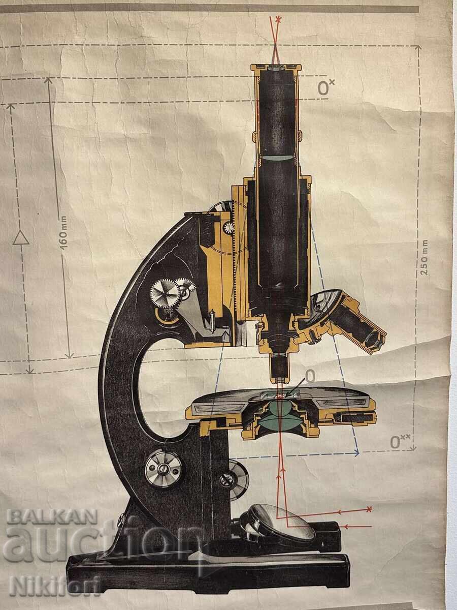 Licitație Planșă didactică socială Microscop