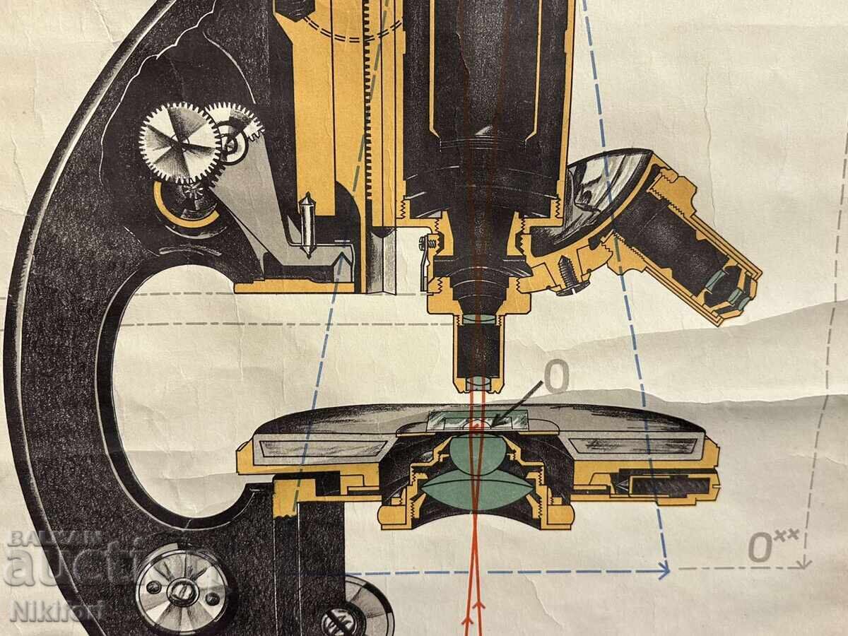 Livrarea Planșă didactică socială Microscop