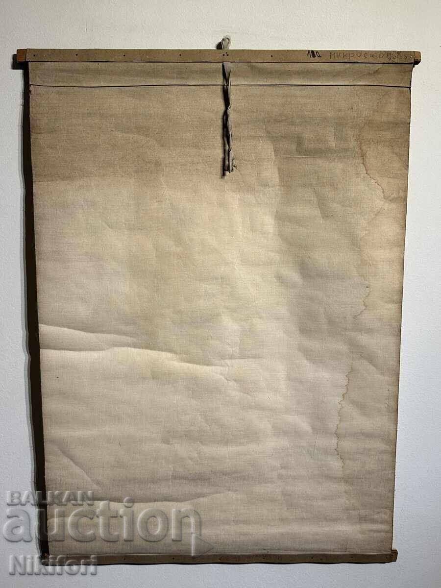 Planșă didactică socială Microscop - 5