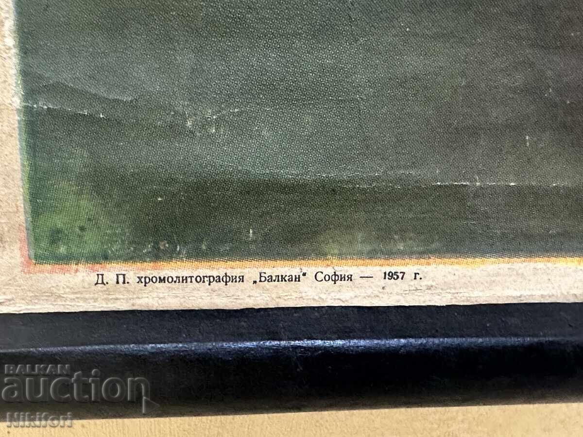 Παράδοση Σοσιαλιστικό Εκπαιδευτικό Πόστερ Πίνακας Χιμπατζής