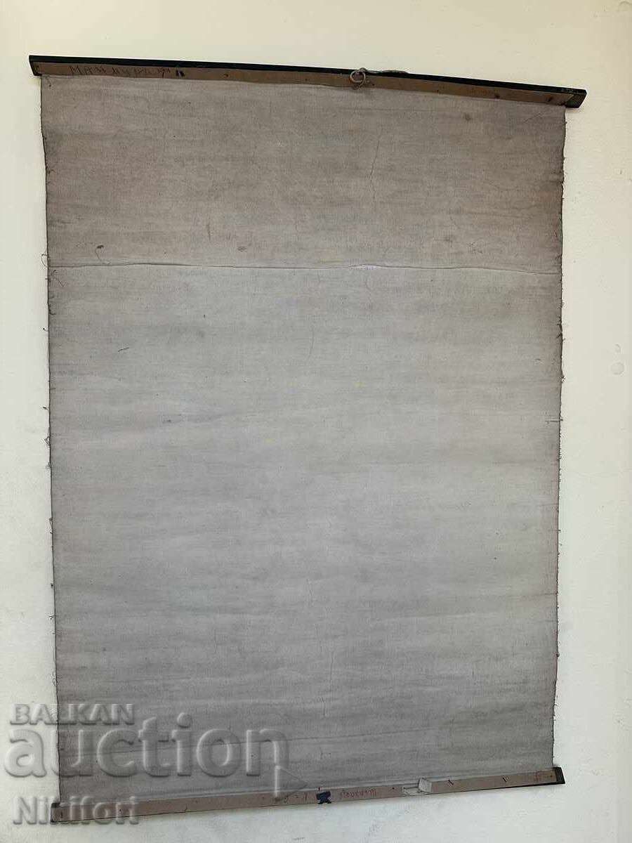 Σοσιαλιστικό Εκπαιδευτικό Πόστερ Πίνακας Χιμπατζής - 5