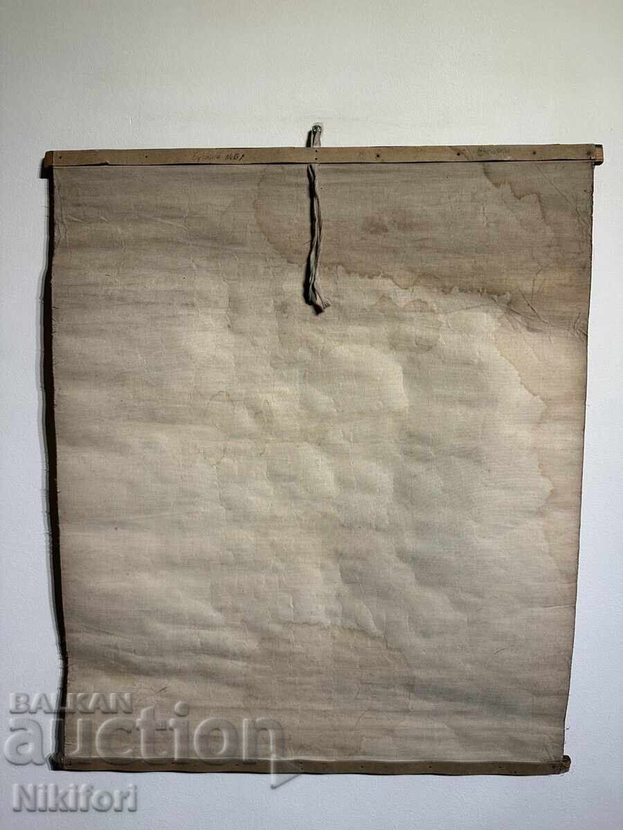 Σοσιαλιστικό Εκπαιδευτικό Πίνακας Πλάκα Ευγλένα - 5