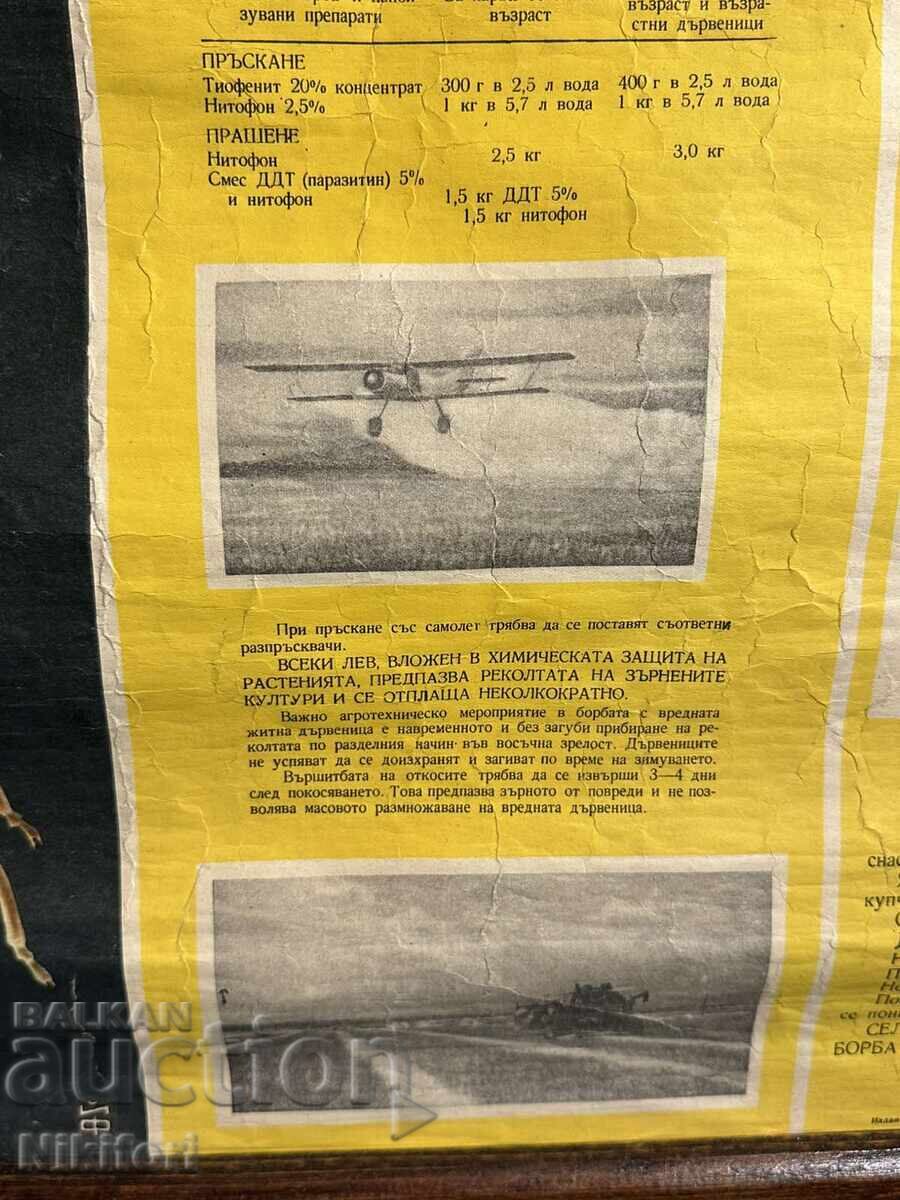 Livrarea Planșă didactică socială Gândacul de cereale 1964 Livrarea Planșă didactică socială Gândacul de cereale 1964