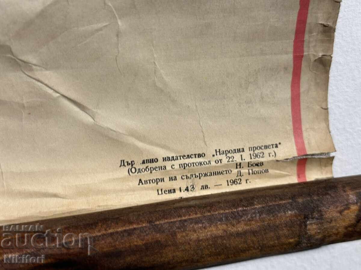 Livrarea Planșă Educativă Socială Ornitorinc