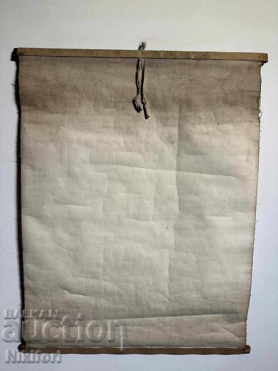 Planșă Educativă Socială Ornitorinc - 5