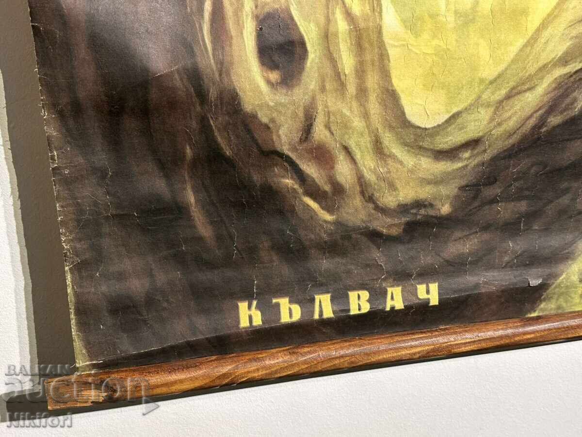 Σοσιαλιστικό Εκπαιδευτικό Πόστερ Πίνακας Δρυοκολάπτης - 5