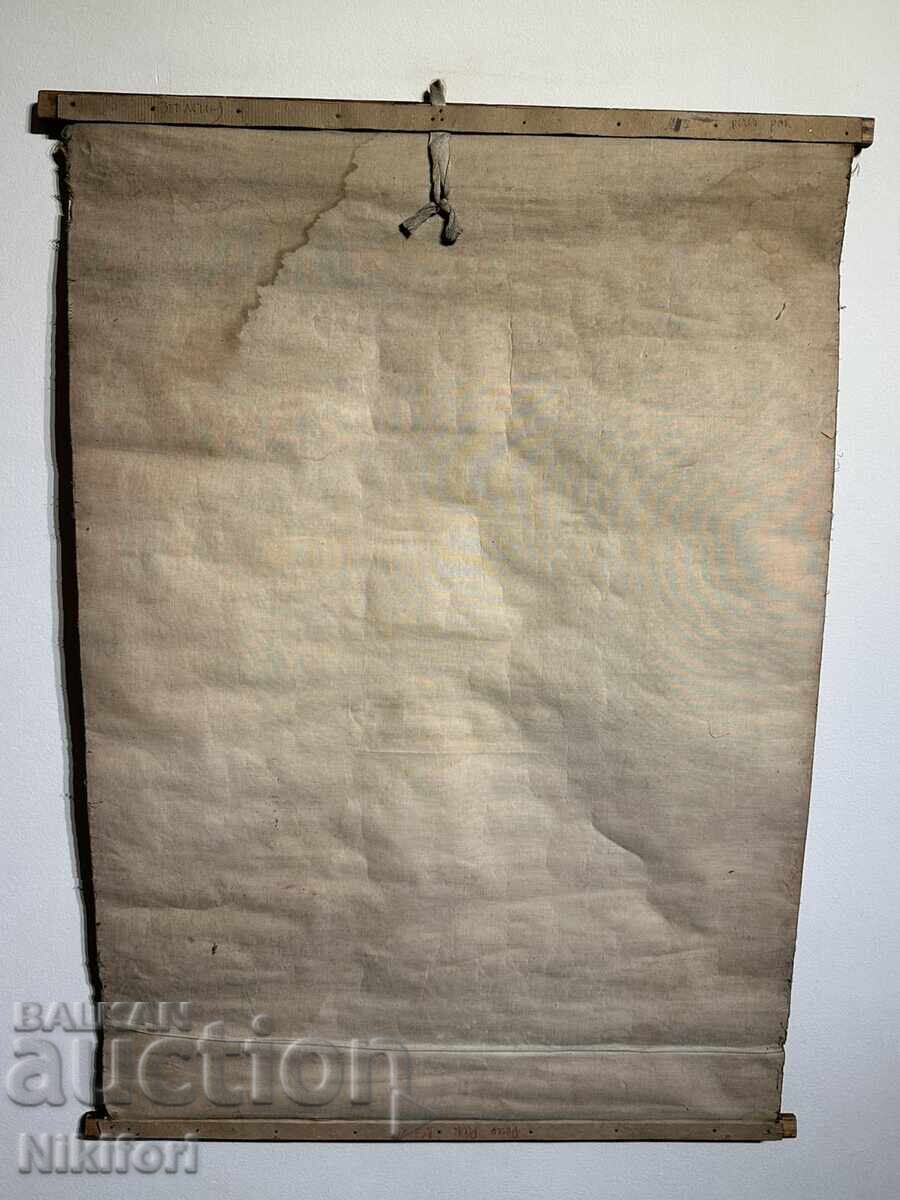 Σοσιαλιστικό Εκπαιδευτικό Πόστερ Πίνακας Ποταμίσιος Καρκίνος - 5