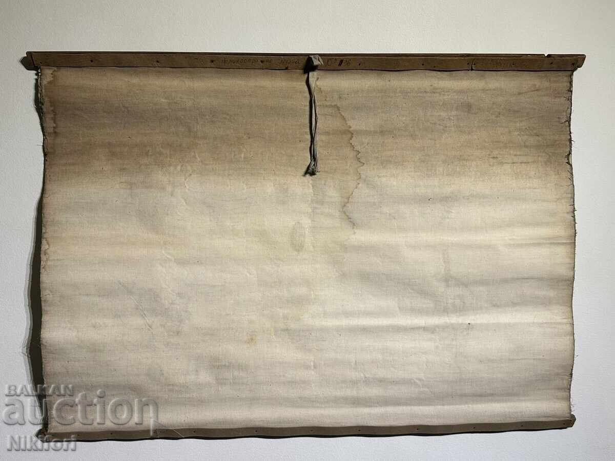 Соц Учебен Плакат Табло Фликосера по Лозата 1962г - 7 Соц Учебен Плакат Табло Фликосера по Лозата 1962г - 7