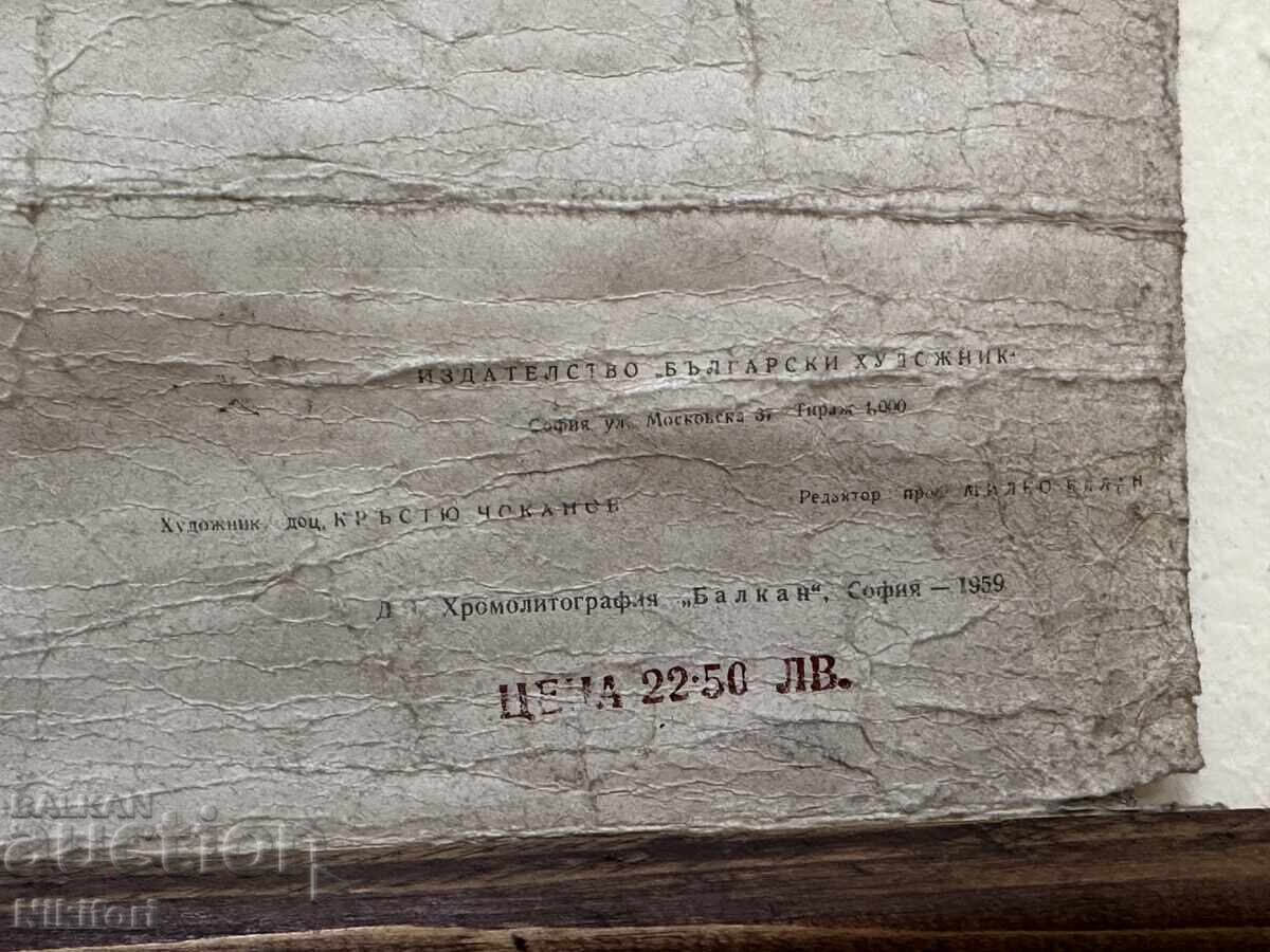 Social Educational Poster Board Medical Anatomical 1959 - 6 Social Educational Poster Board Medical Anatomical 1959 - 6