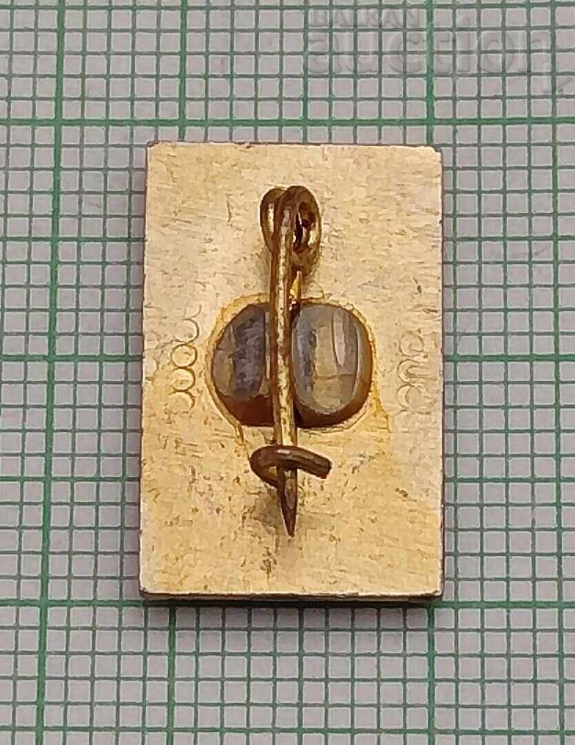 НЕОФИТ РИЛСКИ ВЪЗРАЖДАНЕ ЗНАЧКА с цена 2.00 лв. | € 1.02