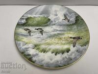 Πορσελάνινο πιάτο Royal Doulton