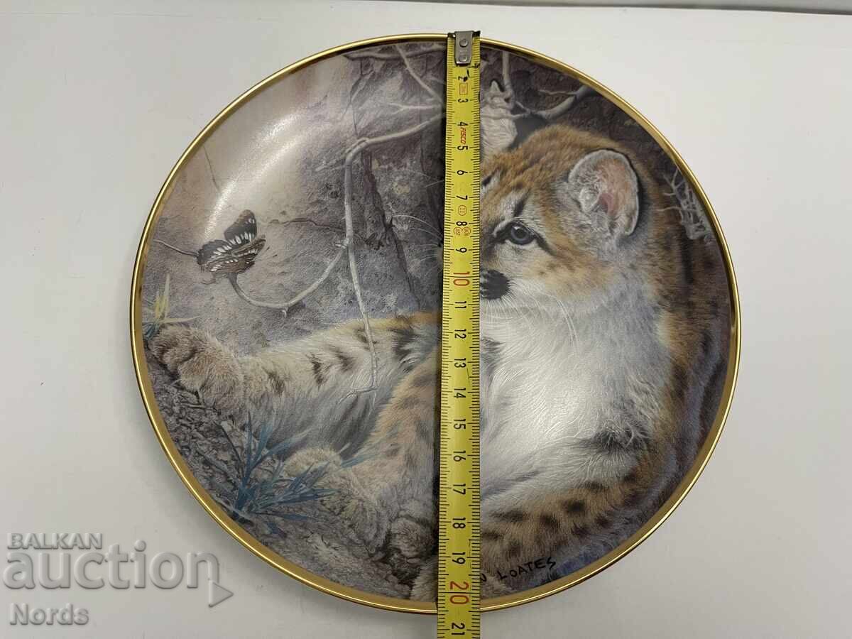 Delivery of A beautiful porcelain plate Delivery of A beautiful porcelain plate