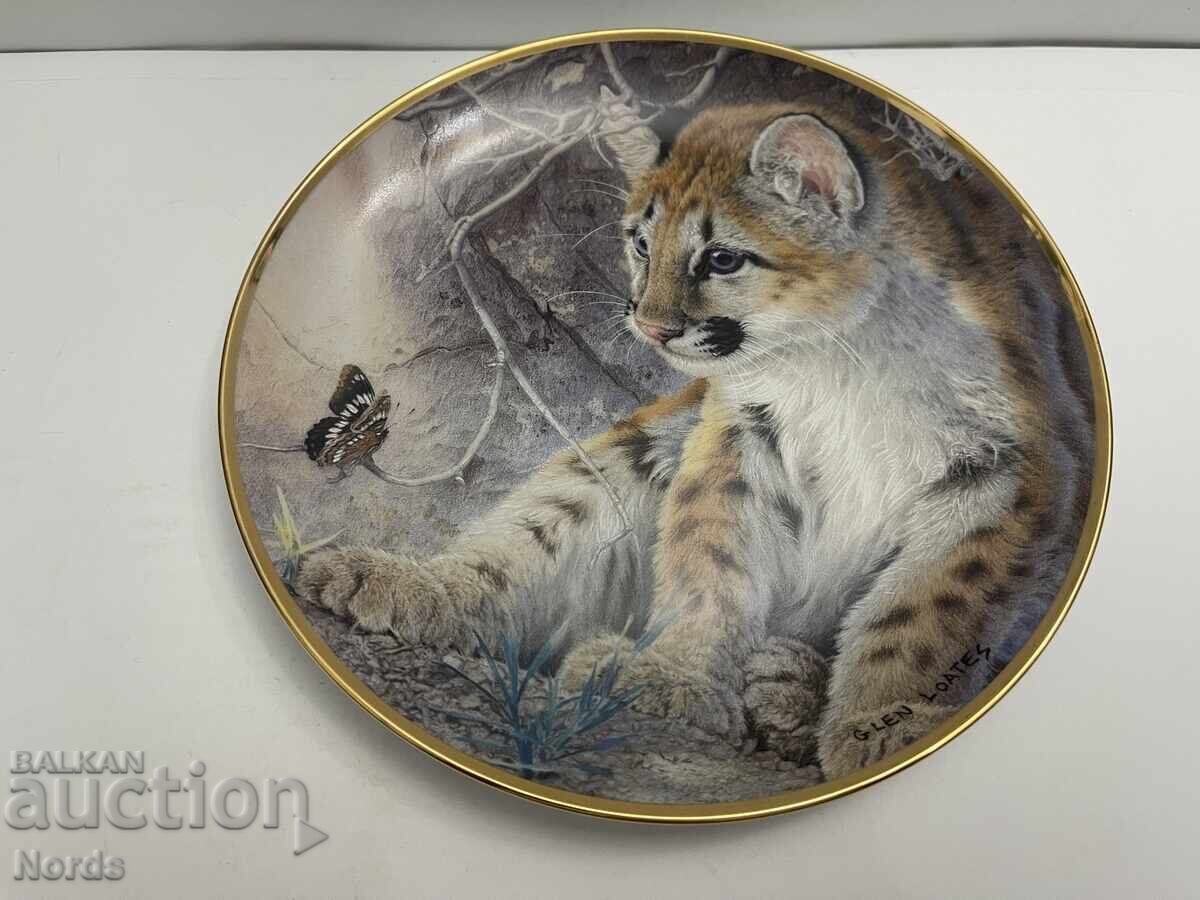 A beautiful porcelain plate A beautiful porcelain plate