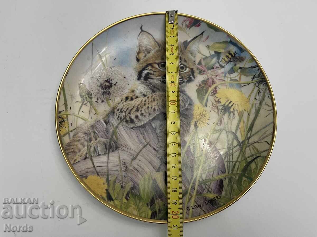 Παράδοση Ένα όμορφο πορσελάνινο πιάτο Παράδοση Ένα όμορφο πορσελάνινο πιάτο