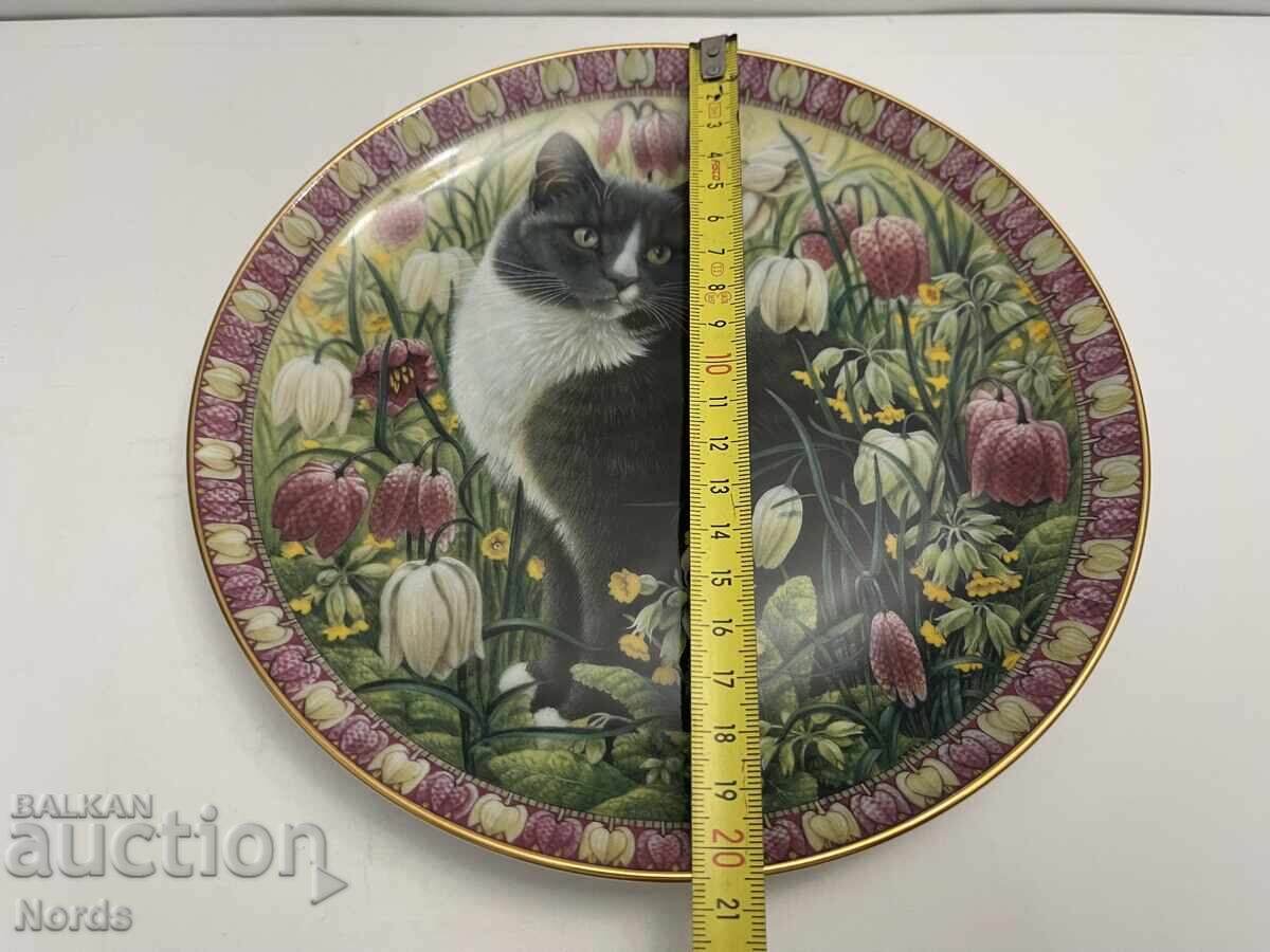 Παράδοση Ένα όμορφο πορσελάνινο πιάτο Παράδοση Ένα όμορφο πορσελάνινο πιάτο