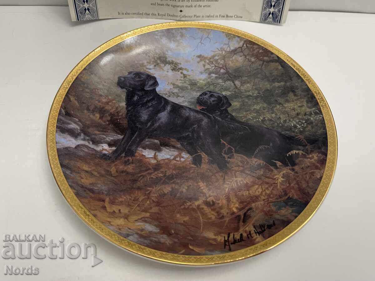 Ένα όμορφο πορσελάνινο πιάτο με τιμή 6.06 BGN | € 3.10 Ένα όμορφο πορσελάνινο πιάτο με τιμή 6.06 BGN | € 3.10