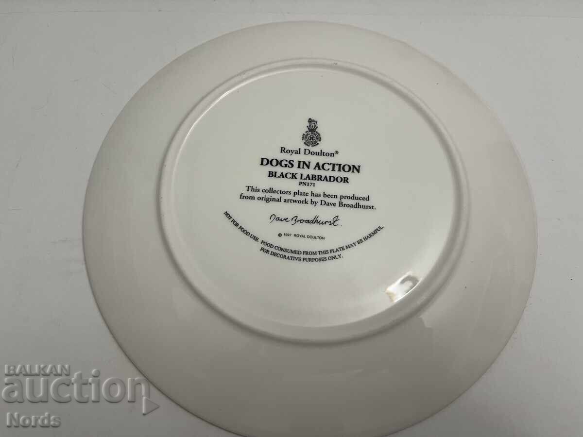 Δημοπρασία Ένα όμορφο πορσελάνινο πιάτο Δημοπρασία Ένα όμορφο πορσελάνινο πιάτο