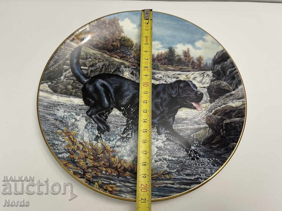 Παράδοση Ένα όμορφο πορσελάνινο πιάτο Παράδοση Ένα όμορφο πορσελάνινο πιάτο