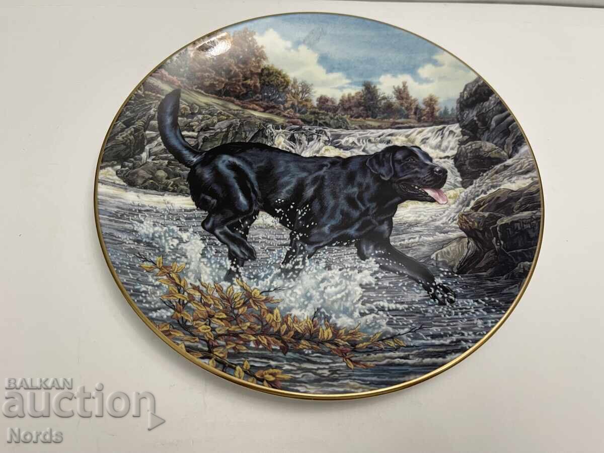 Ένα όμορφο πορσελάνινο πιάτο Ένα όμορφο πορσελάνινο πιάτο