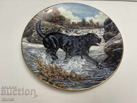 Ένα όμορφο πορσελάνινο πιάτο