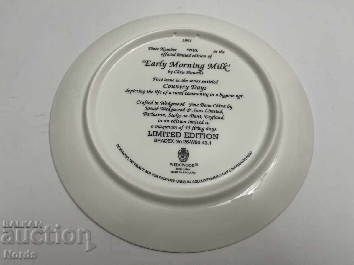 Δημοπρασία Ένα όμορφο πορσελάνινο πιάτο Δημοπρασία Ένα όμορφο πορσελάνινο πιάτο