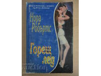 Hot Ice - Nora Roberts