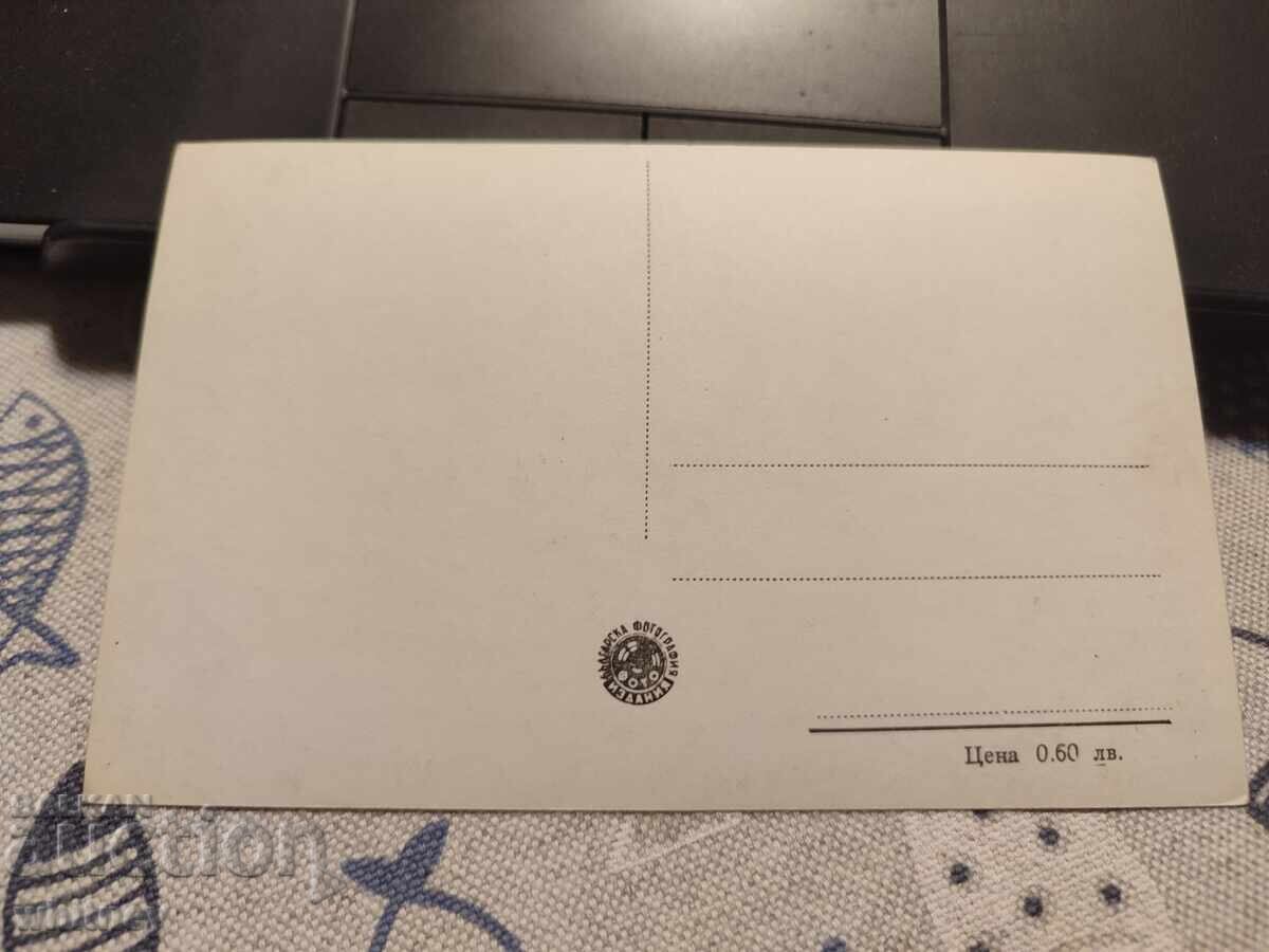 Baia Sapar cu preț 2.99 BGN | € 1.53 Baia Sapar cu preț 2.99 BGN | € 1.53