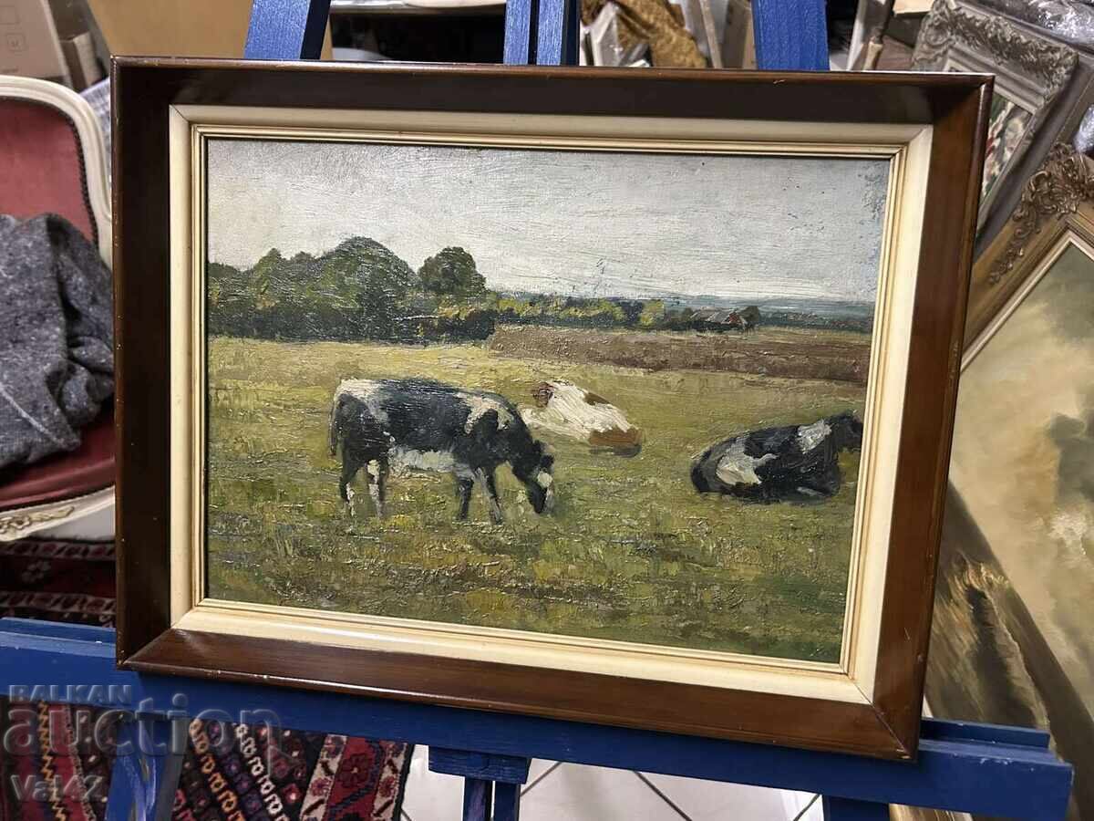 Cows on pasture with price 37.00 BGN | € 18.92