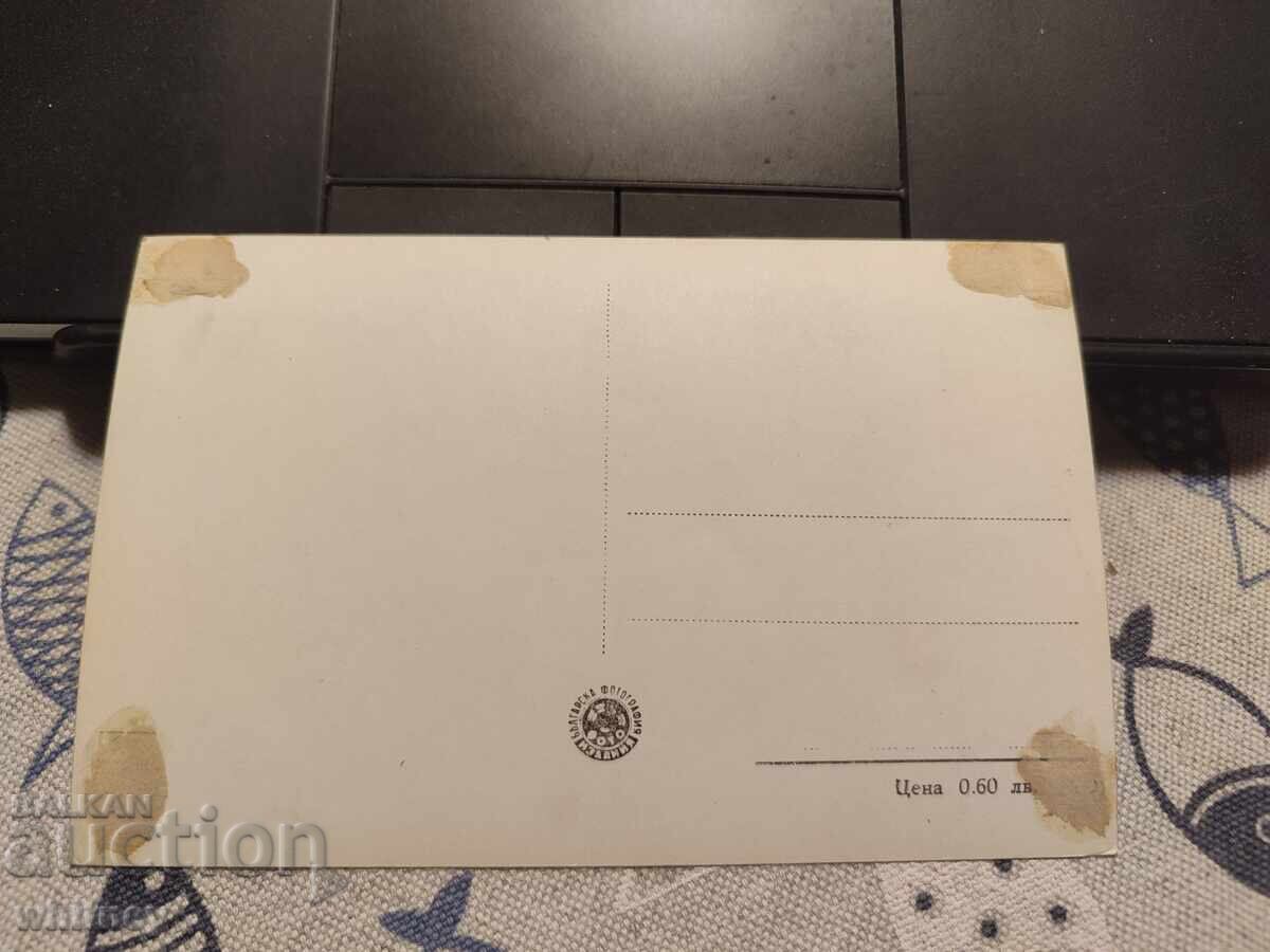 Μομίν προχόντ 3 με τιμή 2.99 BGN | € 1.53