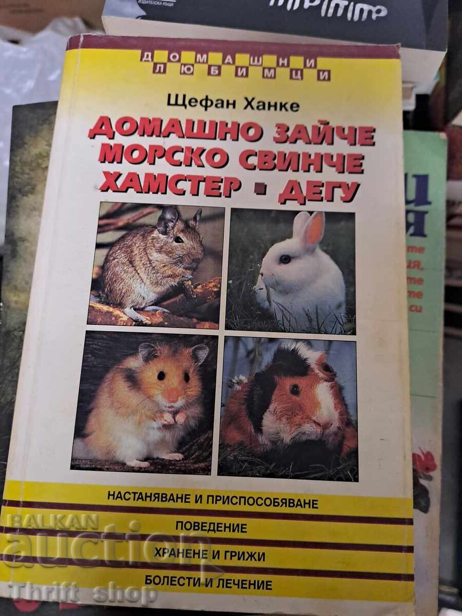 Iepuraș de casă; Porcușor de Guineea; Hamster; Degus Stefan Hanke Iepuraș de casă; Porcușor de Guineea; Hamster; Degus Stefan Hanke